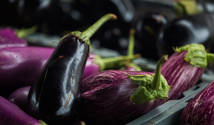 Eggplants