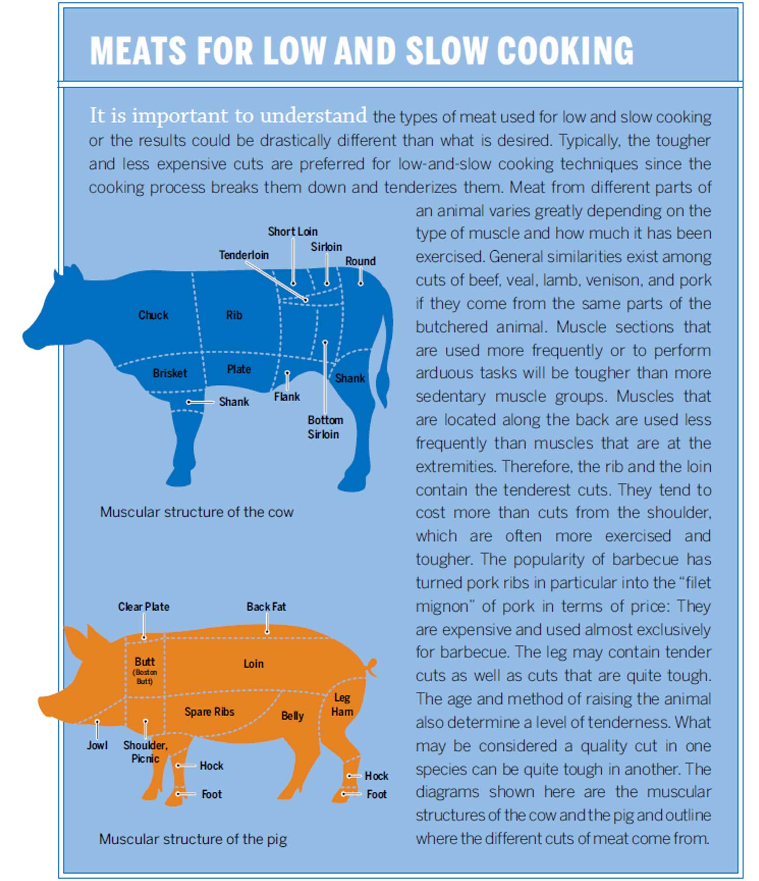 Meats for low and slow cooking