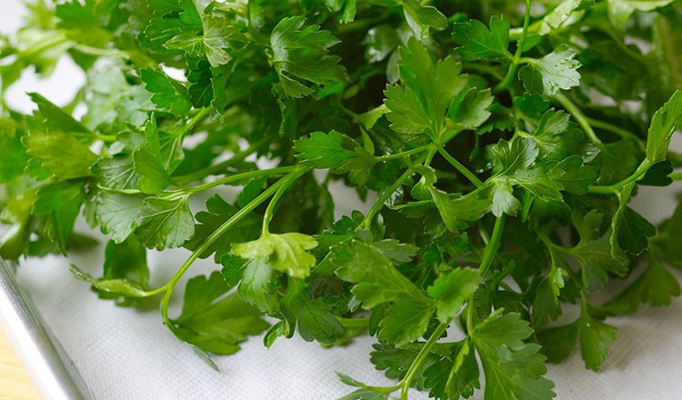 Cilantro Cashew Chutney