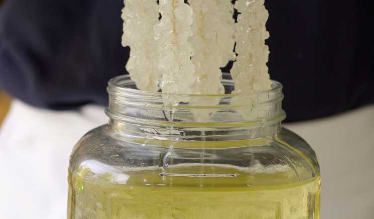 Rock candy sugar crystals forming on strings.