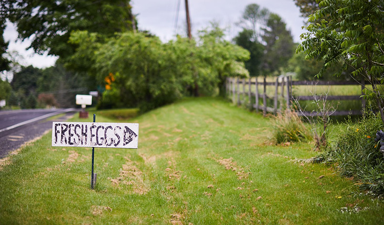 Fresh Eggs sign pointing to Farmer's Markets in the Hudson Valley. Roadside local eggs for sale.