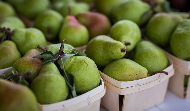 Fresh Pears