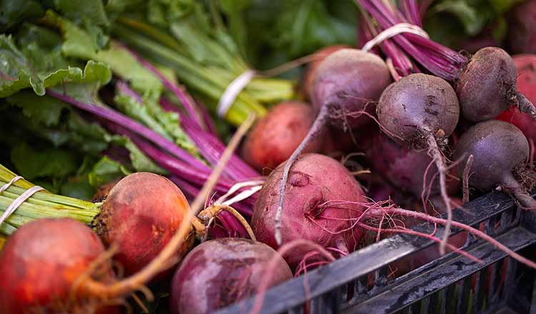 Beets from the garden