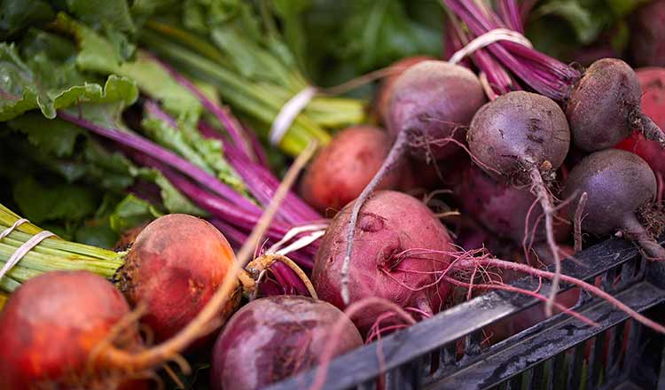 Beets from the garden