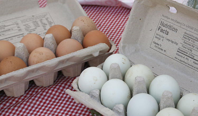 Fresh eggs from the farmer's market.