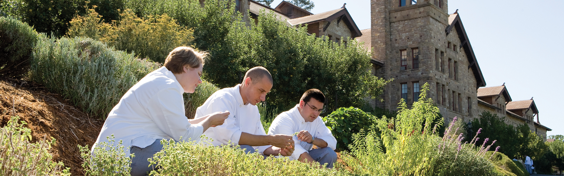 CIA St. Helena Garden