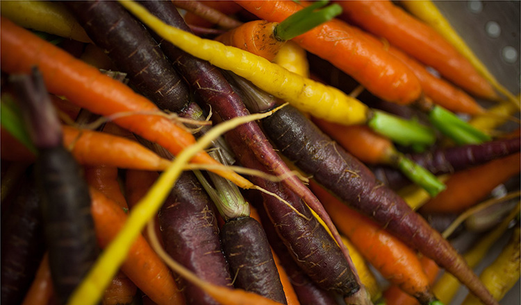 rainbow carrots