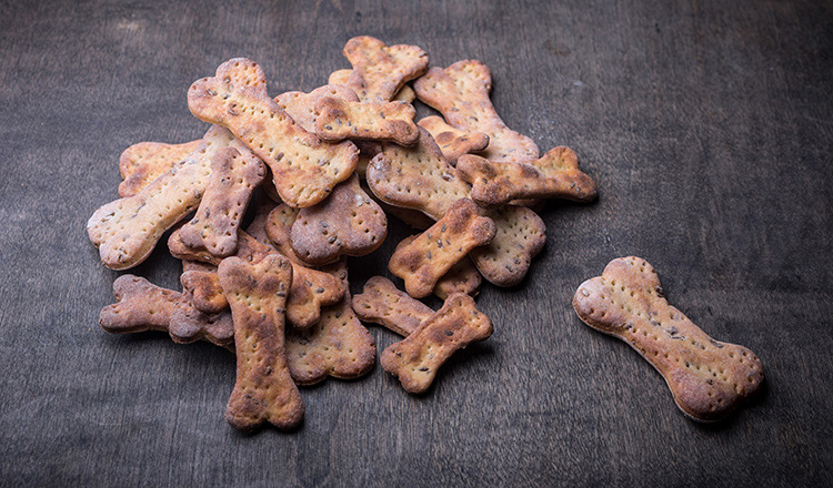 Dog biscuits