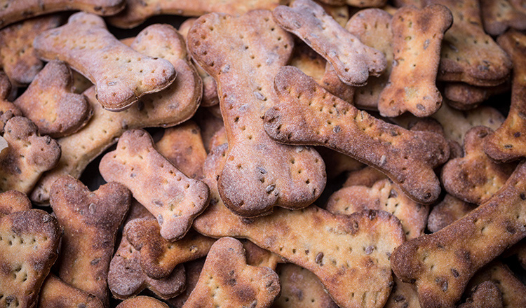 Dog biscuits