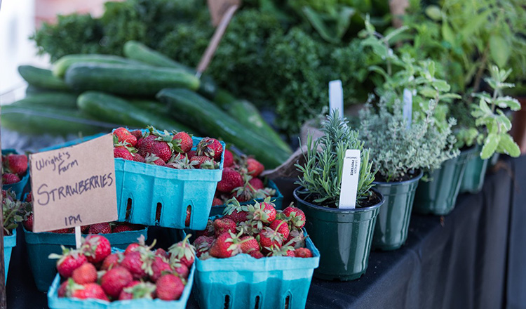 Farm stand with fruits and vegetables