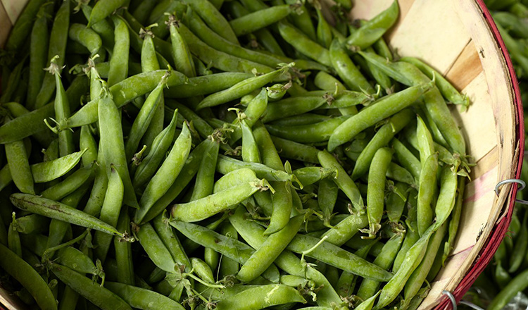 Basket of peas