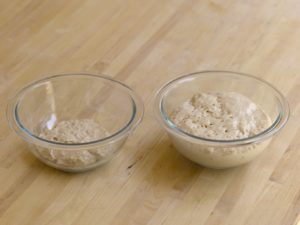 Bread dough, before and after fermentation