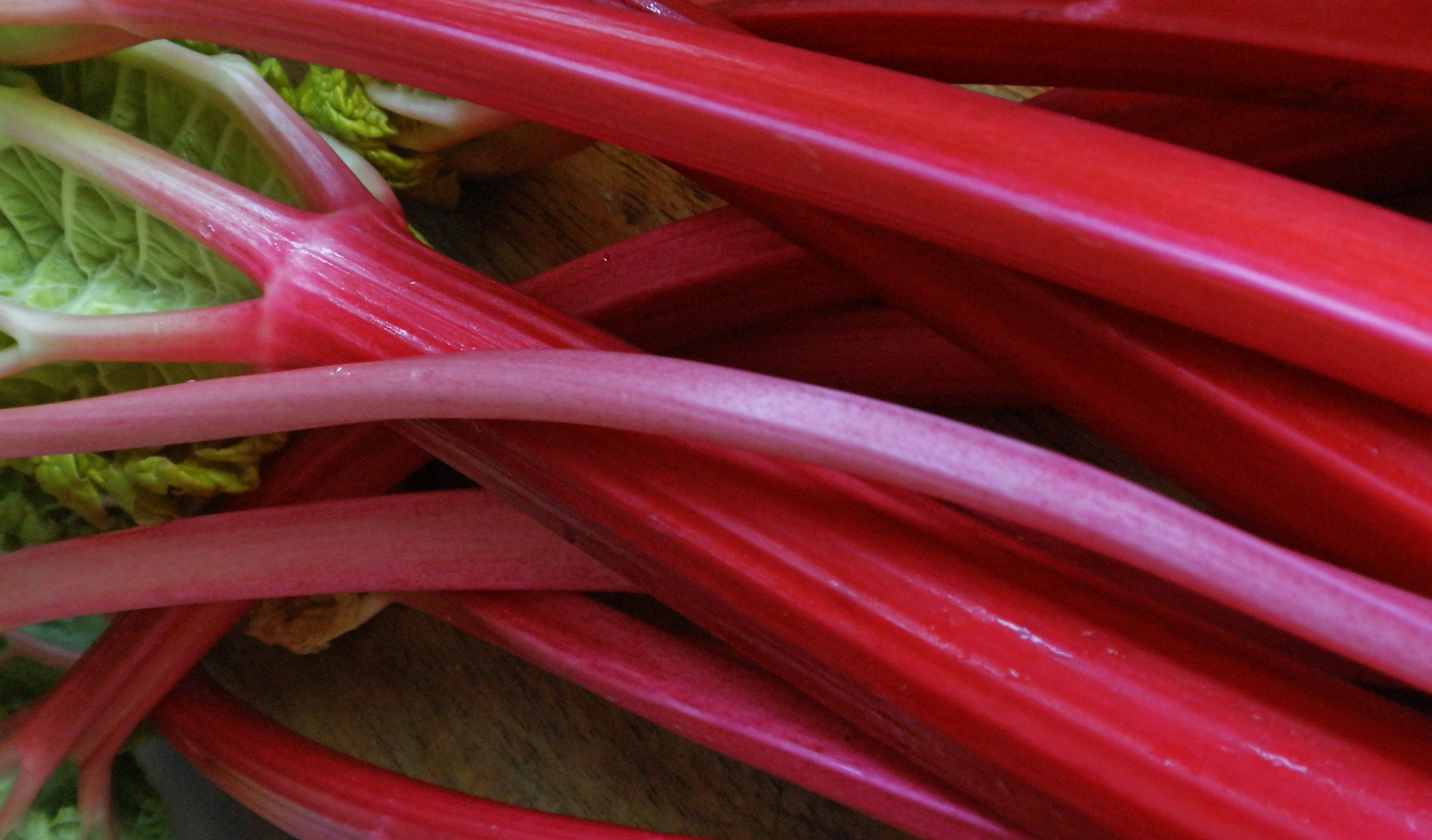 Stalks of rhubarb