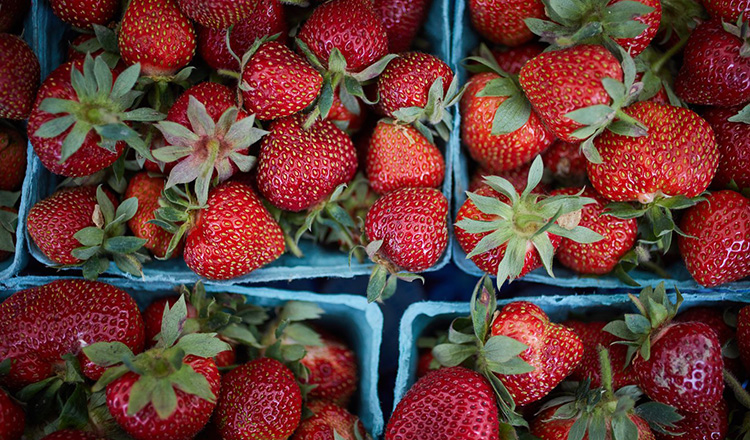 strawberries at farmers' market