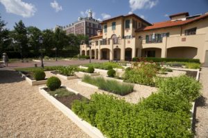 A view of Colavita Center and the Herb Garden in the summertime.
