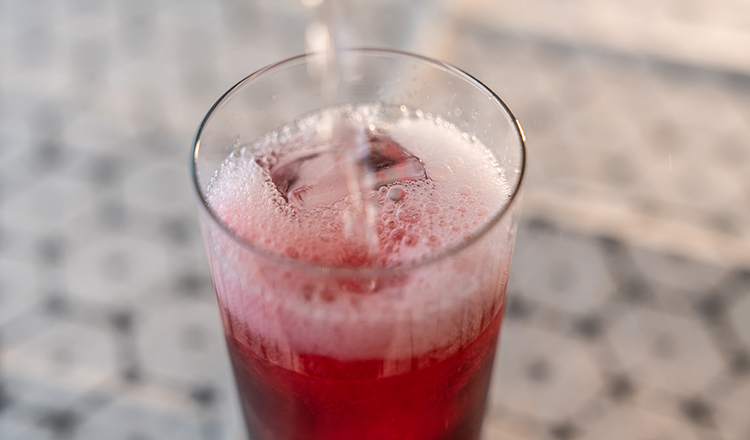 Hibiscus-Ginger Soda