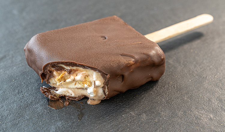 Easy S'mores ice cream bars