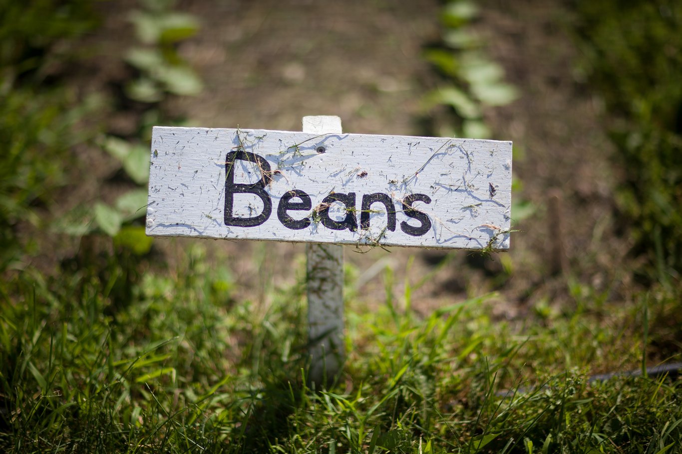 Beans sign at farm.