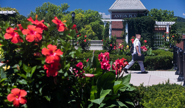 Hibiscus flowers on CIA campus