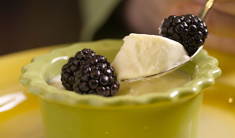 Panna Cotta with blackberries