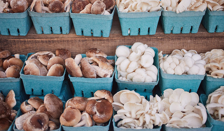 Hudson Valley Farmer's Market mushrooms