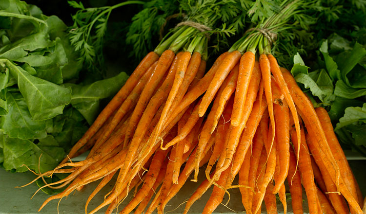 Bunch of Carrots