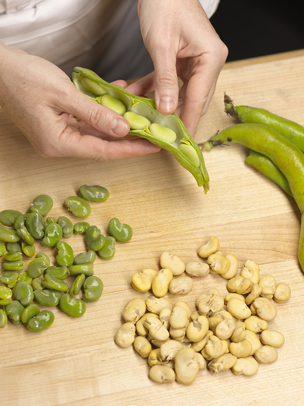 Clockwise from top: Fresh fava beans in the pod, fresh pods, dried fava beans, and fresh fava beans that have been cooked.