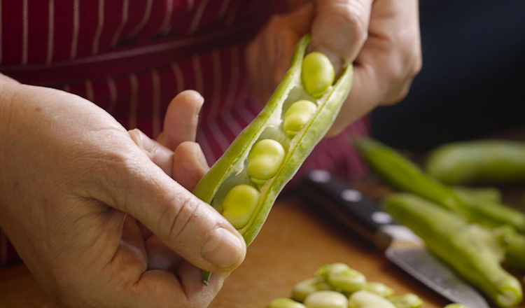 Shelling Fava Beans