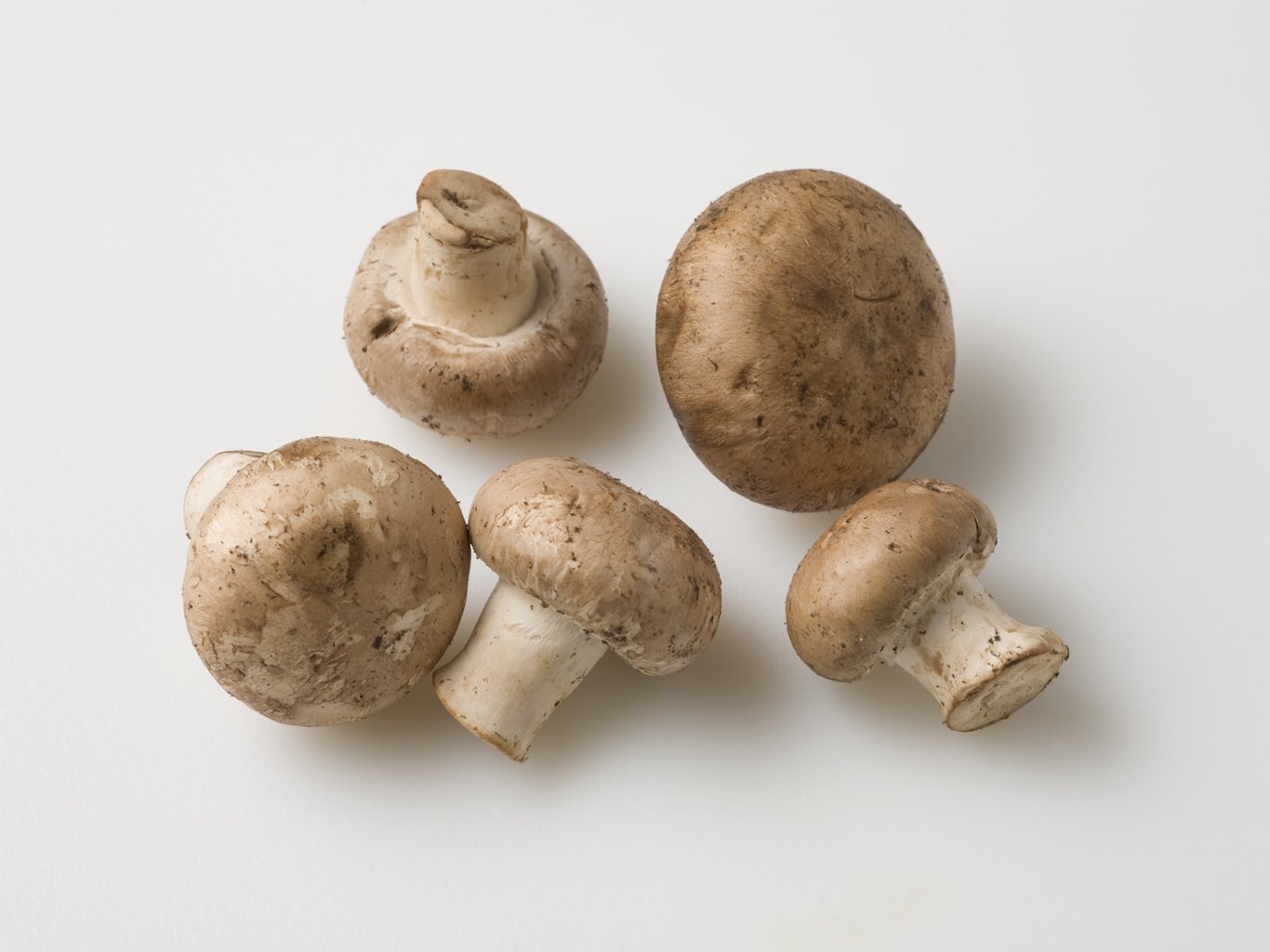 Cremini Mushrooms