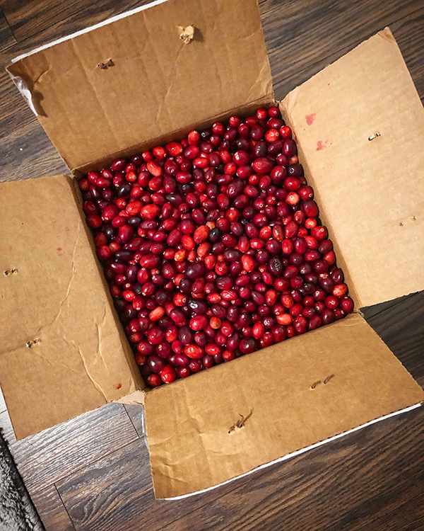 Box of cranberries