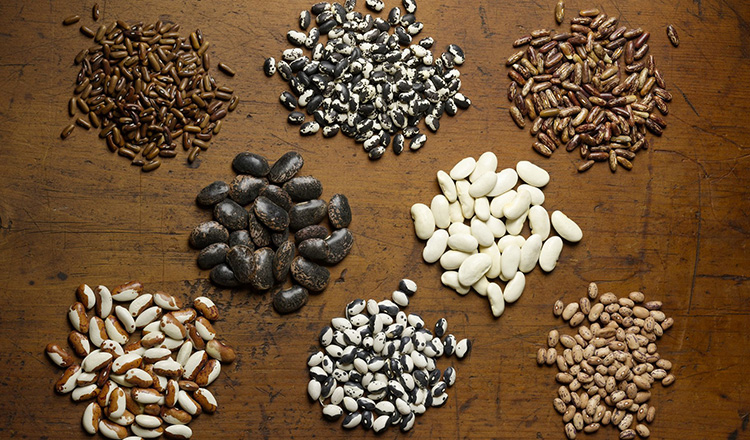 Variety of dried beans