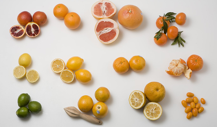 Group of Citrus Varieties