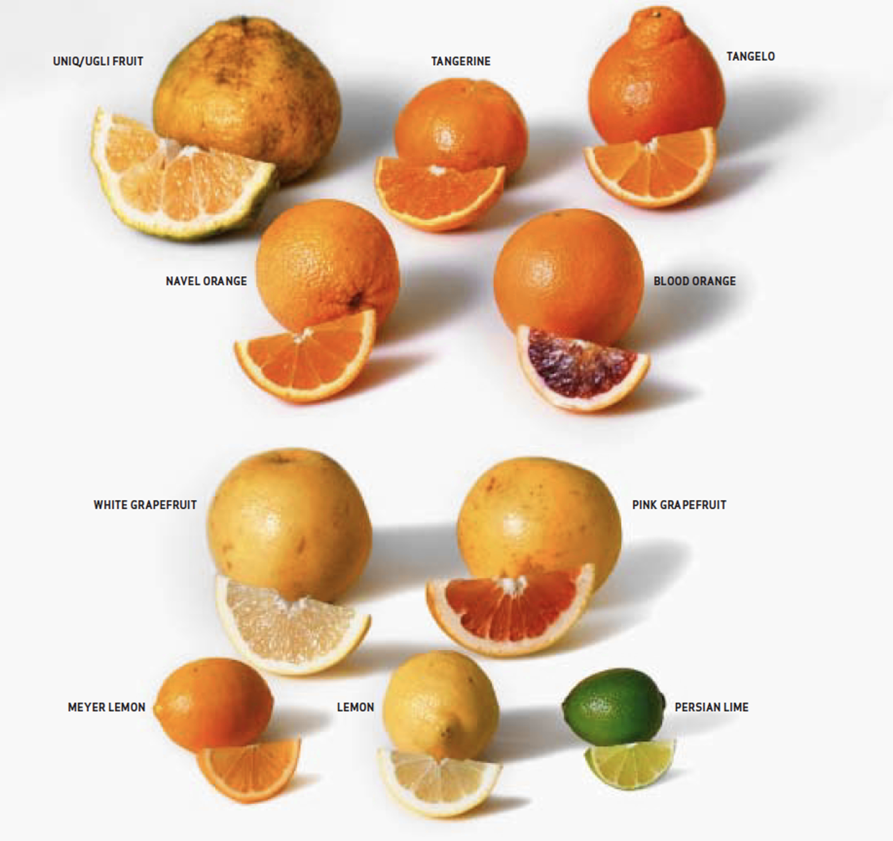 Citrus fruit varieties