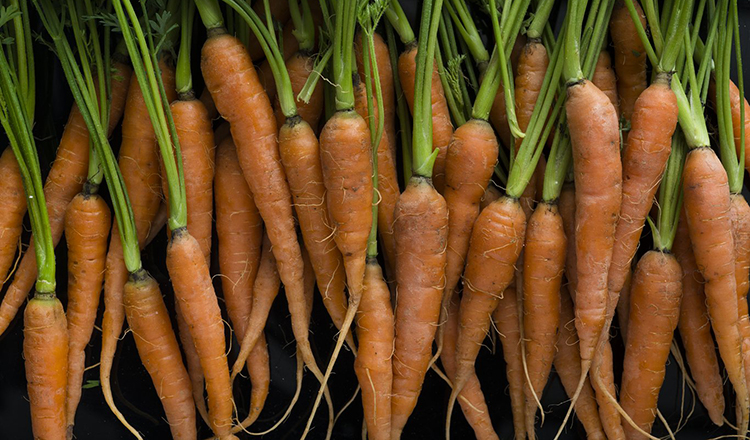 Carrots