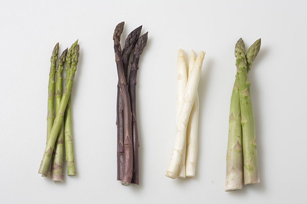 Left To Right: Standard Green Asparagus, Purple Asparagus, White Asparagus, and Jumbo Green Asaragus.