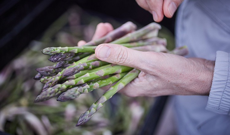 Asparagus at a farmers' market