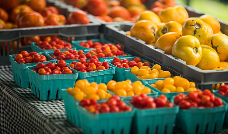 Tomatoes at the farmers' market