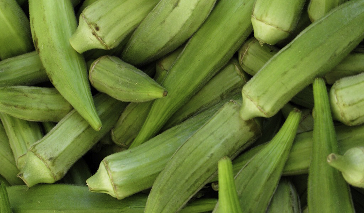 Okra