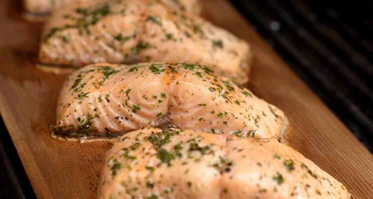 Grilling salmon on a cedar plank