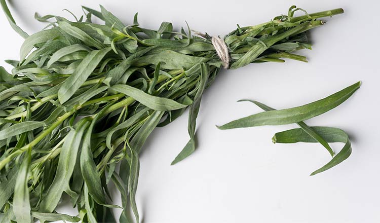 Bunch of tarragon