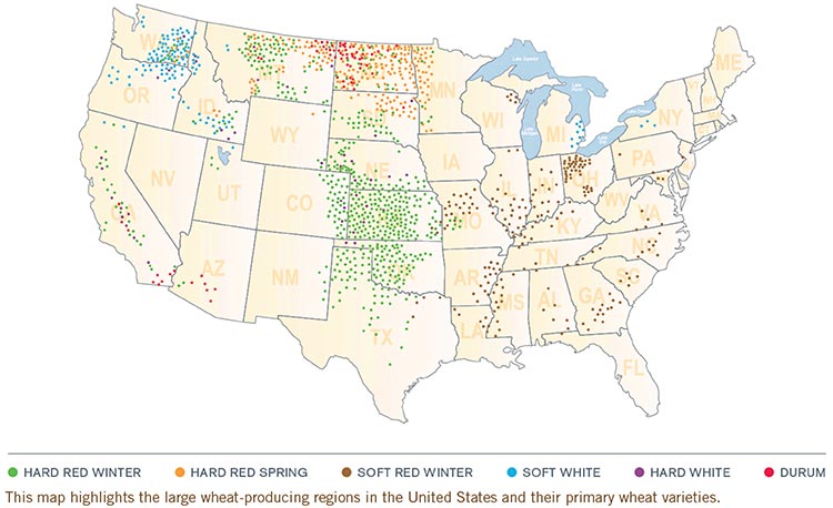 USA map showing regional wheat production