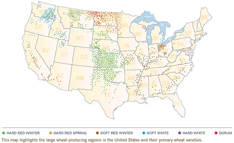 USA map showing regional wheat production