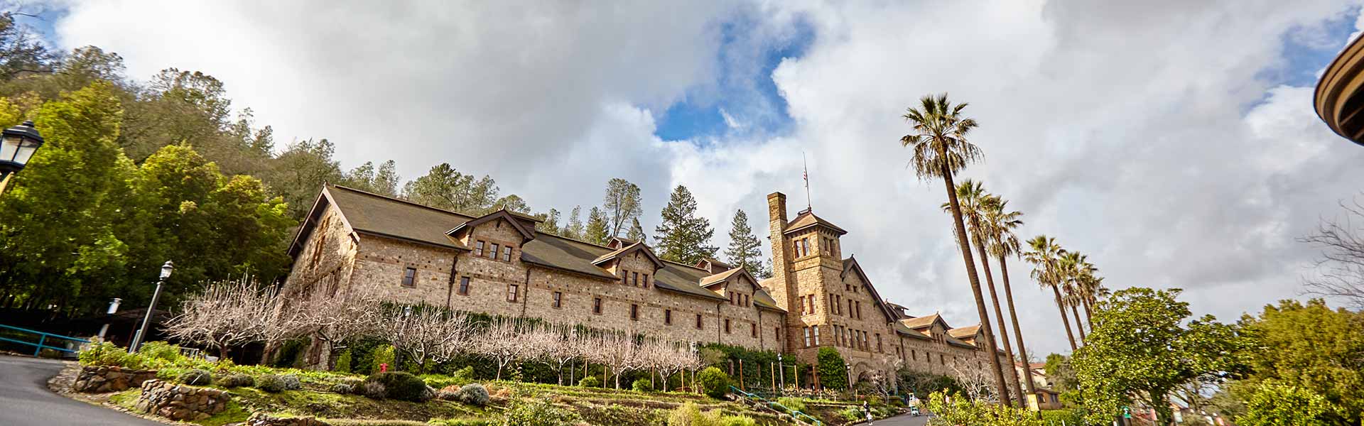 The CIA at Greystone