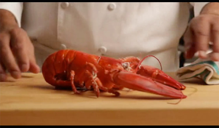 Cooked lobster