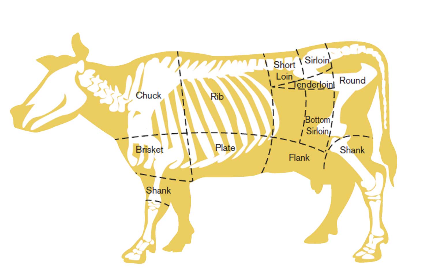 Diagram of beef cuts