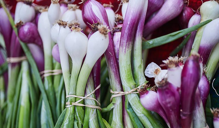 Spring onions