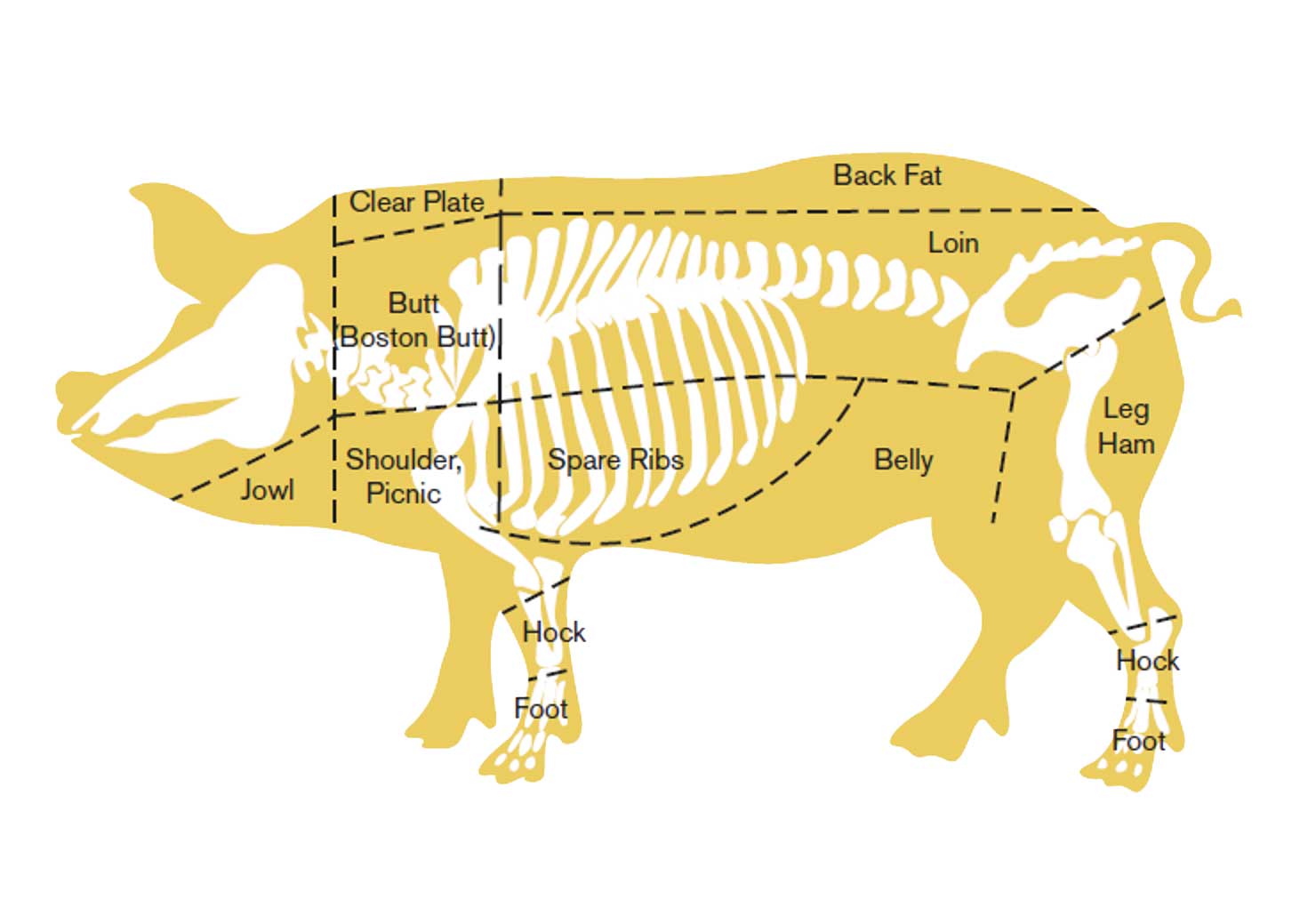 Diagram of pork cuts