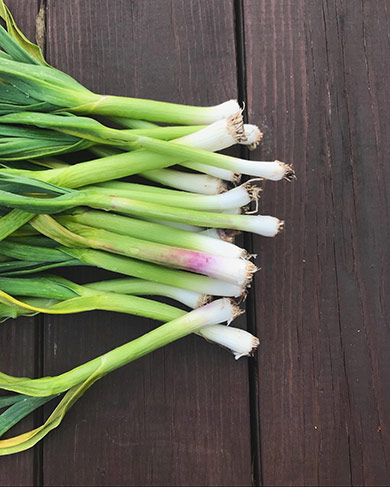 Spring onions