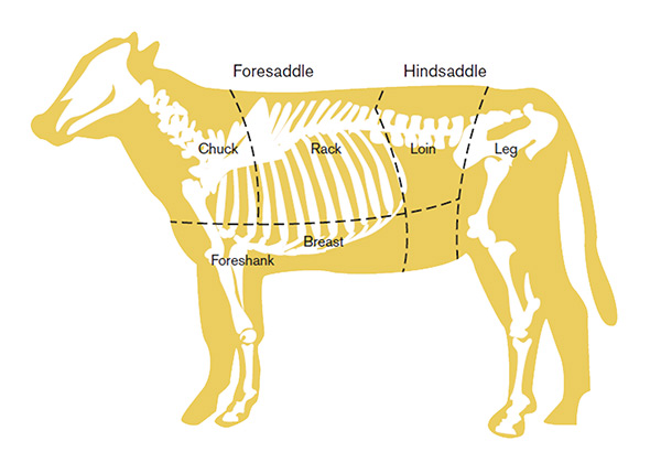 Diagram of veal cuts