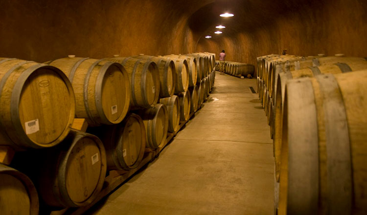 Wine barrels